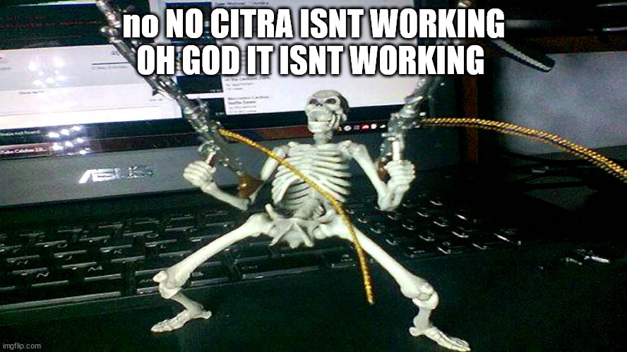skeleton shooting minijun | no NO CITRA ISNT WORKING OH GOD IT ISNT WORKING | image tagged in skeleton shooting minijun | made w/ Imgflip meme maker