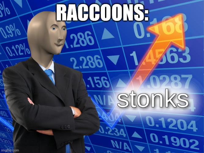 stonks | RACCOONS: | image tagged in stonks | made w/ Imgflip meme maker