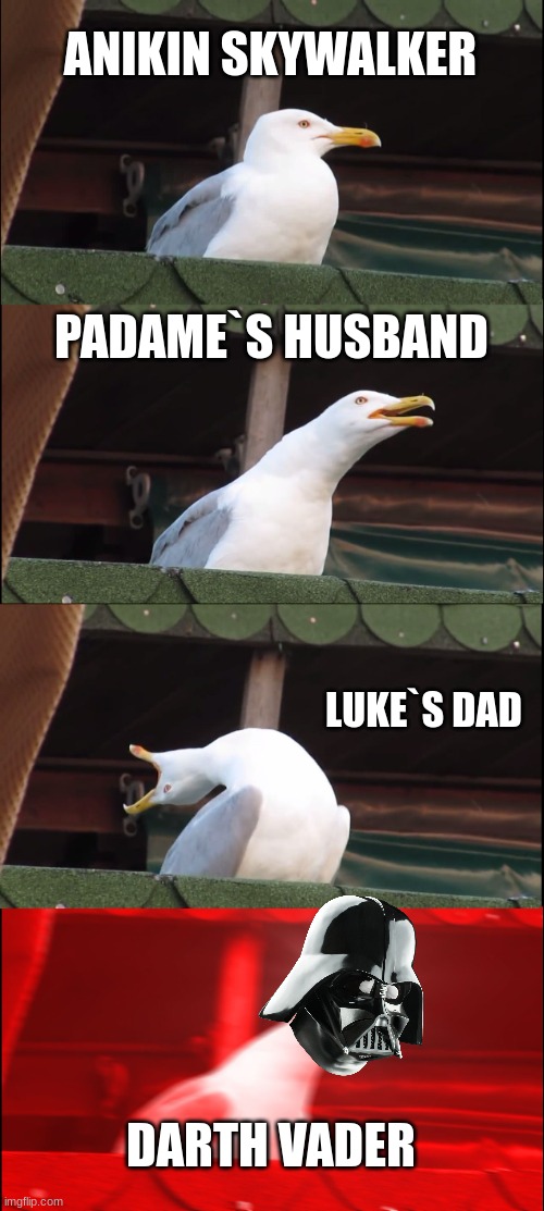 Inhaling Seagull Meme | ANIKIN SKYWALKER; PADAME`S HUSBAND; LUKE`S DAD; DARTH VADER | image tagged in memes,inhaling seagull | made w/ Imgflip meme maker