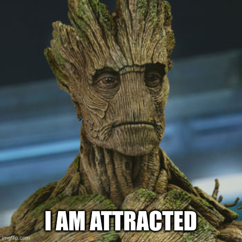 I am Groot | I AM ATTRACTED | image tagged in i am groot | made w/ Imgflip meme maker