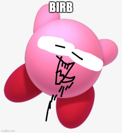 Birb | BIRB | image tagged in kirby,derp | made w/ Imgflip meme maker