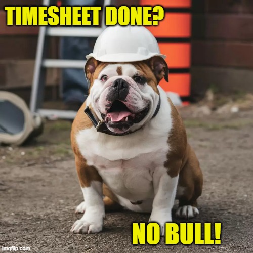 Bulldog Timesheet Reminder | TIMESHEET DONE? NO BULL! | image tagged in bulldog timesheet reminder,timesheet meme,dog meme,memes,bulldog,funny memes | made w/ Imgflip meme maker