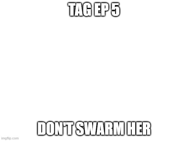 TAG Ep 5.mp3 | TAG EP 5; DON'T SWARM HER | made w/ Imgflip meme maker