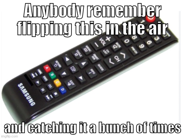 the remote | Anybody remember flipping this in the air; and catching it a bunch of times | image tagged in relatable,meme | made w/ Imgflip meme maker