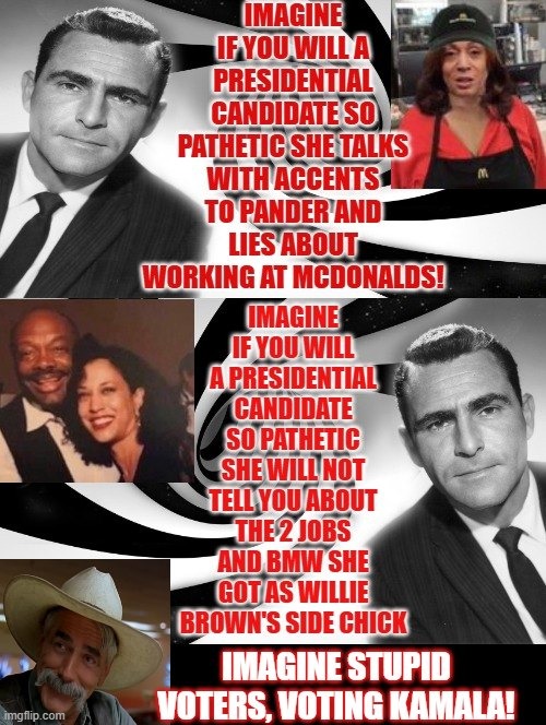 Imagine being so pathetic as to lie about working at McDonalds! Even worse believing the lie | image tagged in liar,pathetic | made w/ Imgflip meme maker