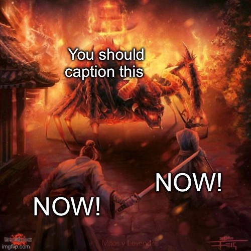 Badass spider thing | You should caption this; NOW! NOW! | image tagged in badass spider thing | made w/ Imgflip meme maker