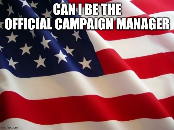 American flag | CAN I BE THE OFFICIAL CAMPAIGN MANAGER | image tagged in american flag | made w/ Imgflip meme maker