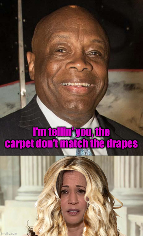 I'm tellin' you, the carpet don't match the drapes | image tagged in willie brown,kamala harris | made w/ Imgflip meme maker