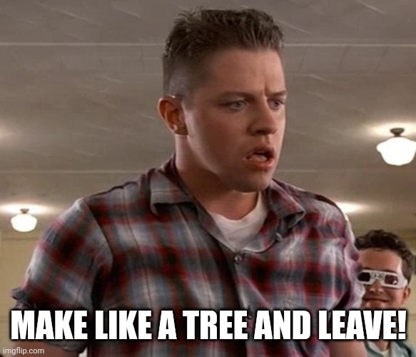 Young Biff | MAKE LIKE A TREE AND LEAVE! | image tagged in young biff | made w/ Imgflip meme maker