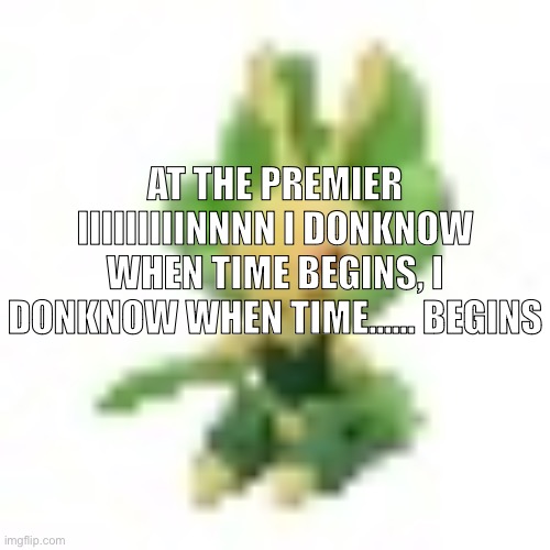 144p Leavanny | AT THE PREMIER IIIIIIIIINNNN I DONKNOW WHEN TIME BEGINS, I DONKNOW WHEN TIME…… BEGINS | image tagged in 144p leavanny | made w/ Imgflip meme maker