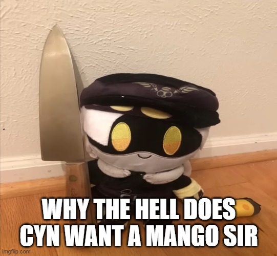 N with a knife | WHY THE HELL DOES CYN WANT A MANGO SIR | image tagged in n with a knife | made w/ Imgflip meme maker