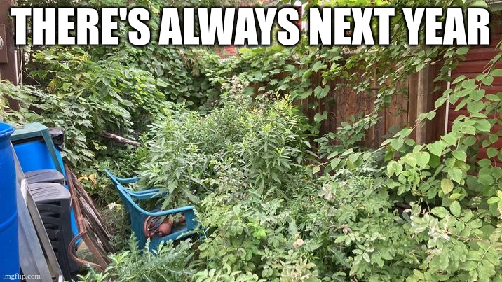 Garden | THERE'S ALWAYS NEXT YEAR | image tagged in gardening | made w/ Imgflip meme maker