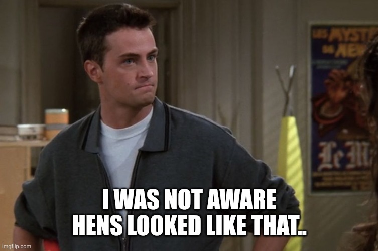 Chandler Bing | I WAS NOT AWARE HENS LOOKED LIKE THAT.. | image tagged in chandler bing | made w/ Imgflip meme maker