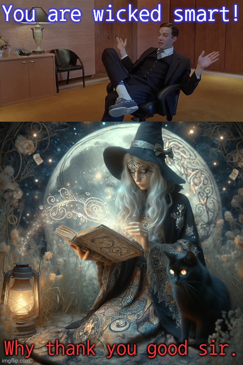 You silver tongued flatterer, you. | You are wicked smart! Why thank you good sir. | image tagged in good will hunting ben affleck allegedly concurrently,witch doing magic with her cat,compliment,wholesome,respect | made w/ Imgflip meme maker