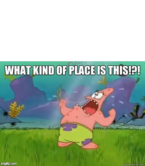 What kind of place is this? | image tagged in what kind of place is this | made w/ Imgflip meme maker