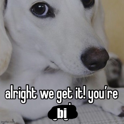 alright we get it you're gay | bi | image tagged in alright we get it you're gay | made w/ Imgflip meme maker