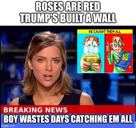 Breaking News | ROSES ARE RED
TRUMP'S BUILT A WALL; BOY WASTES DAYS CATCHING EM ALL | image tagged in breaking news | made w/ Imgflip meme maker