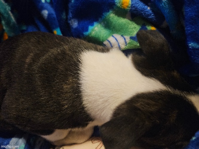 My sweet boy | made w/ Imgflip meme maker