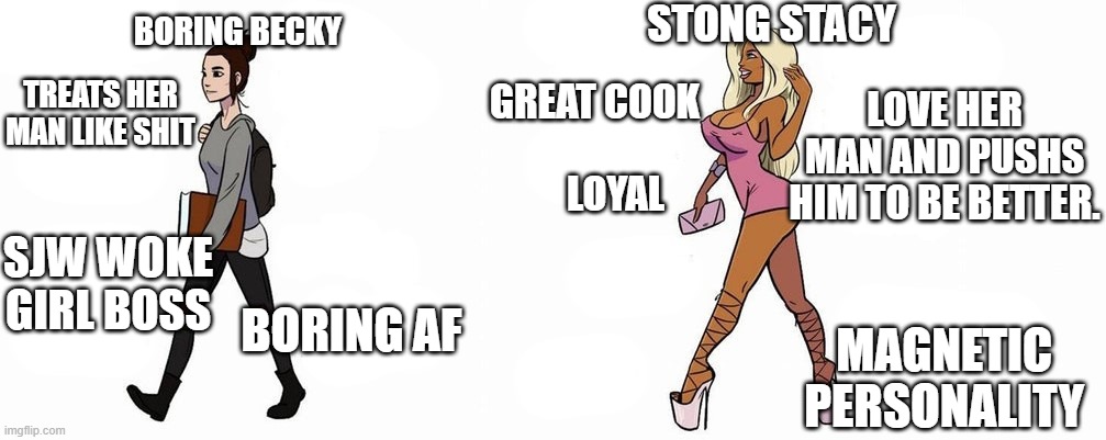 Becky vs Stacy | BORING BECKY; STONG STACY; LOVE HER MAN AND PUSHS HIM TO BE BETTER. TREATS HER MAN LIKE SHIT; GREAT COOK; LOYAL; SJW WOKE GIRL BOSS; BORING AF; MAGNETIC  PERSONALITY | image tagged in becky vs stacy | made w/ Imgflip meme maker