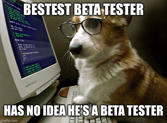 Bestest Beta Tester | BESTEST BETA TESTER; HAS NO IDEA HE’S A BETA TESTER | image tagged in corgi hacker,hacker,beta tester,it | made w/ Imgflip meme maker