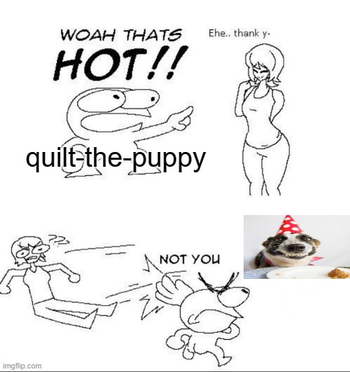 bro jorks it to dogs | quilt-the-puppy | image tagged in woah thats hot | made w/ Imgflip meme maker