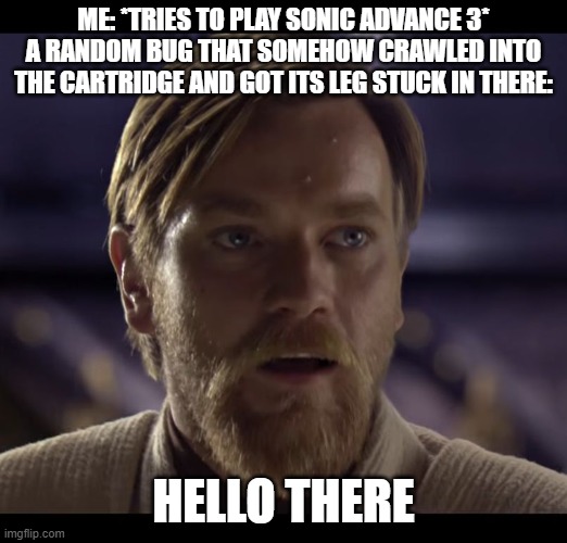 Hello there | ME: *TRIES TO PLAY SONIC ADVANCE 3*
A RANDOM BUG THAT SOMEHOW CRAWLED INTO THE CARTRIDGE AND GOT ITS LEG STUCK IN THERE:; HELLO THERE | image tagged in hello there | made w/ Imgflip meme maker