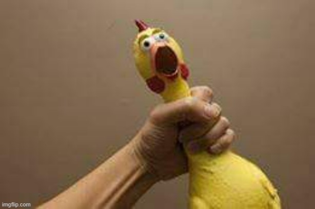 Choking the chicken | image tagged in choking the chicken | made w/ Imgflip meme maker