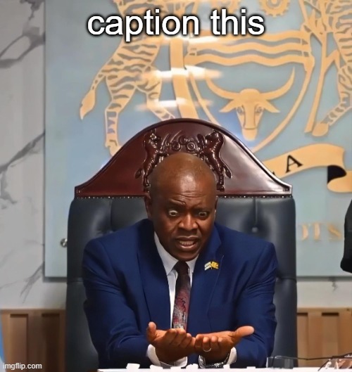 . | caption this | image tagged in botswana president shocked holding diamond | made w/ Imgflip meme maker