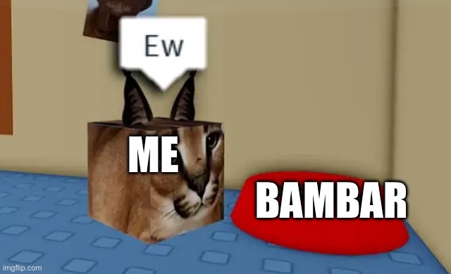 Floppa cube say "Ew" to this red bowl | ME; BAMBAR | image tagged in floppa cube say ew to this red bowl | made w/ Imgflip meme maker