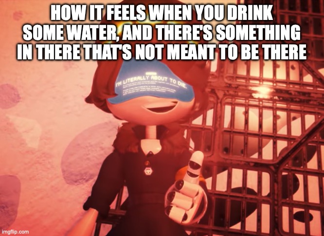 I am literally about to die | HOW IT FEELS WHEN YOU DRINK SOME WATER, AND THERE'S SOMETHING IN THERE THAT'S NOT MEANT TO BE THERE | image tagged in i am literally about to die | made w/ Imgflip meme maker