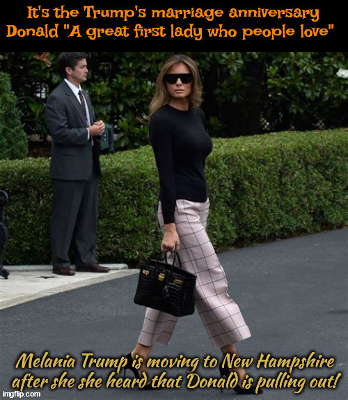 Not so happy Anniversary Melanoma | It's the Trump's marriage anniversary
Donald "A great first lady who people love" | image tagged in a great first lady who people love,trump the skunk,stormy what up,dinner for one fat hog,black dress wishes,maga marrage | made w/ Imgflip meme maker