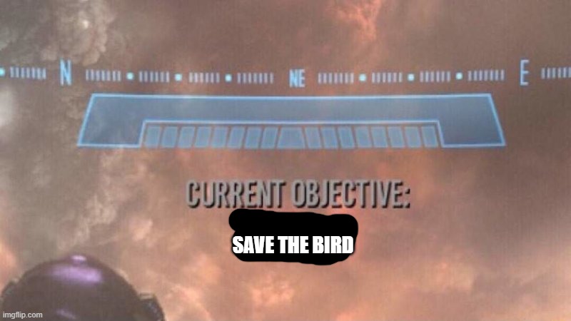 Current Objective: Survive | SAVE THE BIRD | image tagged in current objective survive | made w/ Imgflip meme maker