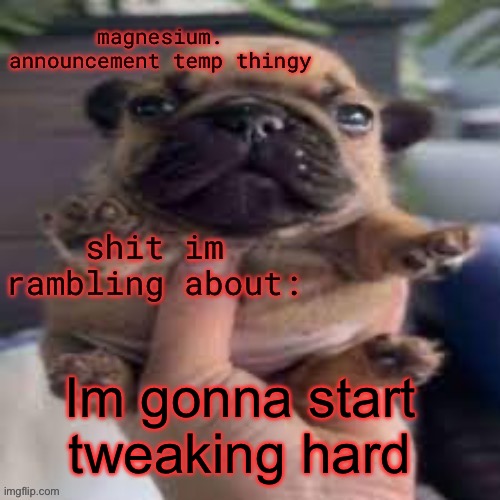 pug temp | Im gonna start tweaking hard | image tagged in pug temp | made w/ Imgflip meme maker