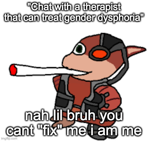 grox with a fat blunt | "Chat with a therapist that can treat gender dysphoria"; nah lil bruh you cant "fix" me i am me | image tagged in grox with a fat blunt | made w/ Imgflip meme maker