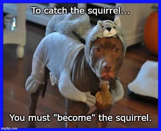 Become The Squirrel | To catch the squirrel... You must "become" the squirrel. | image tagged in dog,costume | made w/ Imgflip meme maker