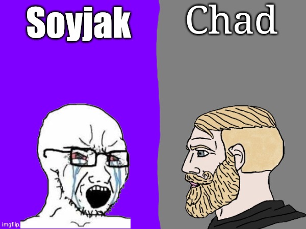 The two political parties | Chad; Soyjak | made w/ Imgflip meme maker