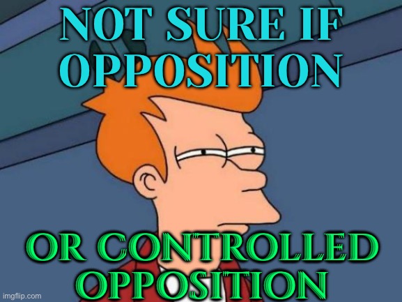 Not Sure If Opposition; Or Controlled Opposition | NOT SURE IF
OPPOSITION; OR CONTROLLED
OPPOSITION | image tagged in memes,futurama fry,politics lol,american politics,scumbag government,scumbag europe | made w/ Imgflip meme maker