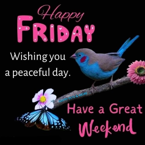 HAPPY PETS & MORE ... | made w/ Imgflip meme maker