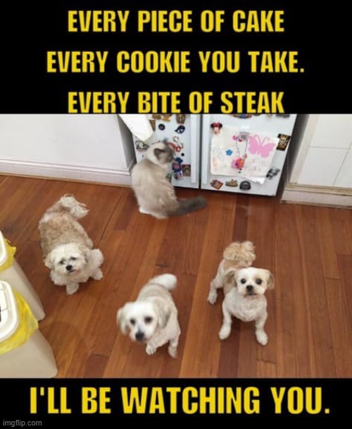 Sharing ! | image tagged in snacks | made w/ Imgflip meme maker