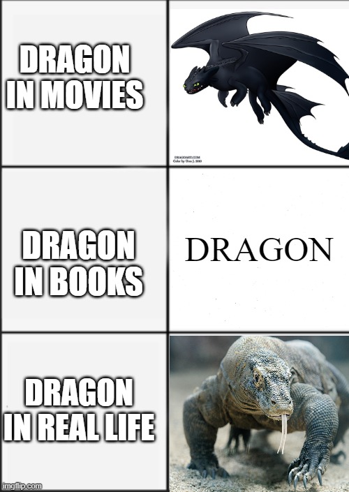 dragons be like | DRAGON IN MOVIES; DRAGON IN BOOKS; DRAGON; DRAGON IN REAL LIFE | image tagged in panic calm | made w/ Imgflip meme maker