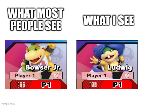 WHAT I SEE; WHAT MOST PEOPLE SEE | image tagged in smash bros | made w/ Imgflip meme maker