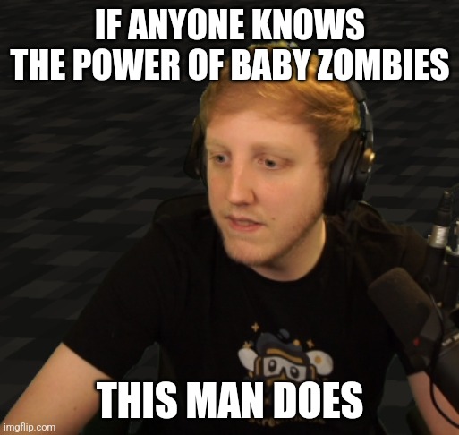 Funi Philza | IF ANYONE KNOWS THE POWER OF BABY ZOMBIES THIS MAN DOES | image tagged in funi philza | made w/ Imgflip meme maker