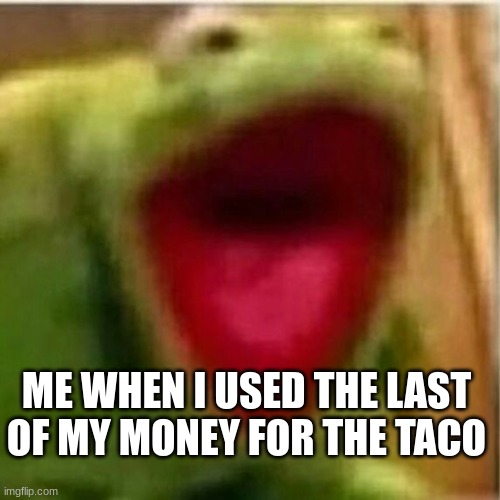 AHHHHHHHHHHHHH | ME WHEN I USED THE LAST OF MY MONEY FOR THE TACO | image tagged in ahhhhhhhhhhhhh | made w/ Imgflip meme maker