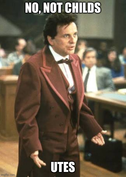 My Cousin Vinny | NO, NOT CHILDS UTES | image tagged in my cousin vinny | made w/ Imgflip meme maker