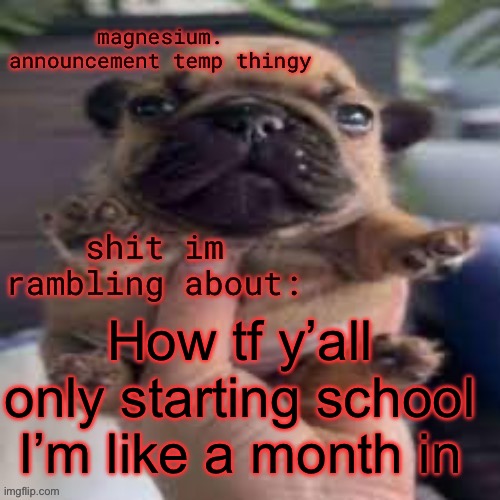 pug temp | How tf y’all only starting school I’m like a month in | image tagged in pug temp | made w/ Imgflip meme maker