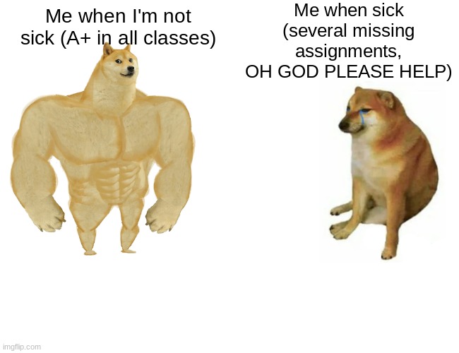 Buff Doge vs. Cheems | Me when sick (several missing assignments, OH GOD PLEASE HELP); Me when I'm not sick (A+ in all classes) | image tagged in memes,buff doge vs cheems | made w/ Imgflip meme maker