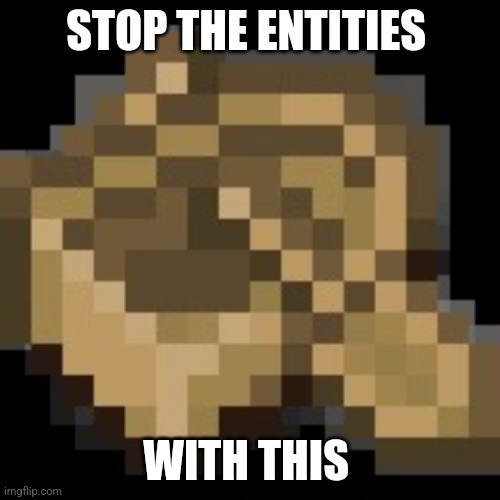 Minecraft Boat | STOP THE ENTITIES WITH THIS | image tagged in minecraft boat | made w/ Imgflip meme maker