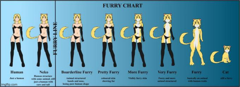fuck you, furry chart | made w/ Imgflip meme maker