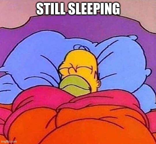 Homer Simpson sleeping peacefully | STILL SLEEPING | image tagged in homer simpson sleeping peacefully | made w/ Imgflip meme maker