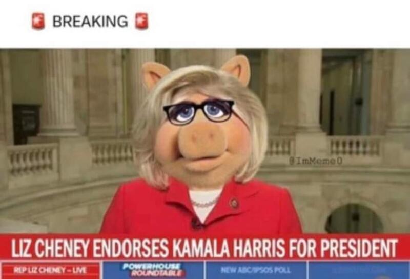 Liz Cheney endorses Hobama Blank Meme Template